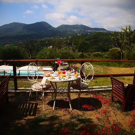 Tenuta Terre Di Bosco